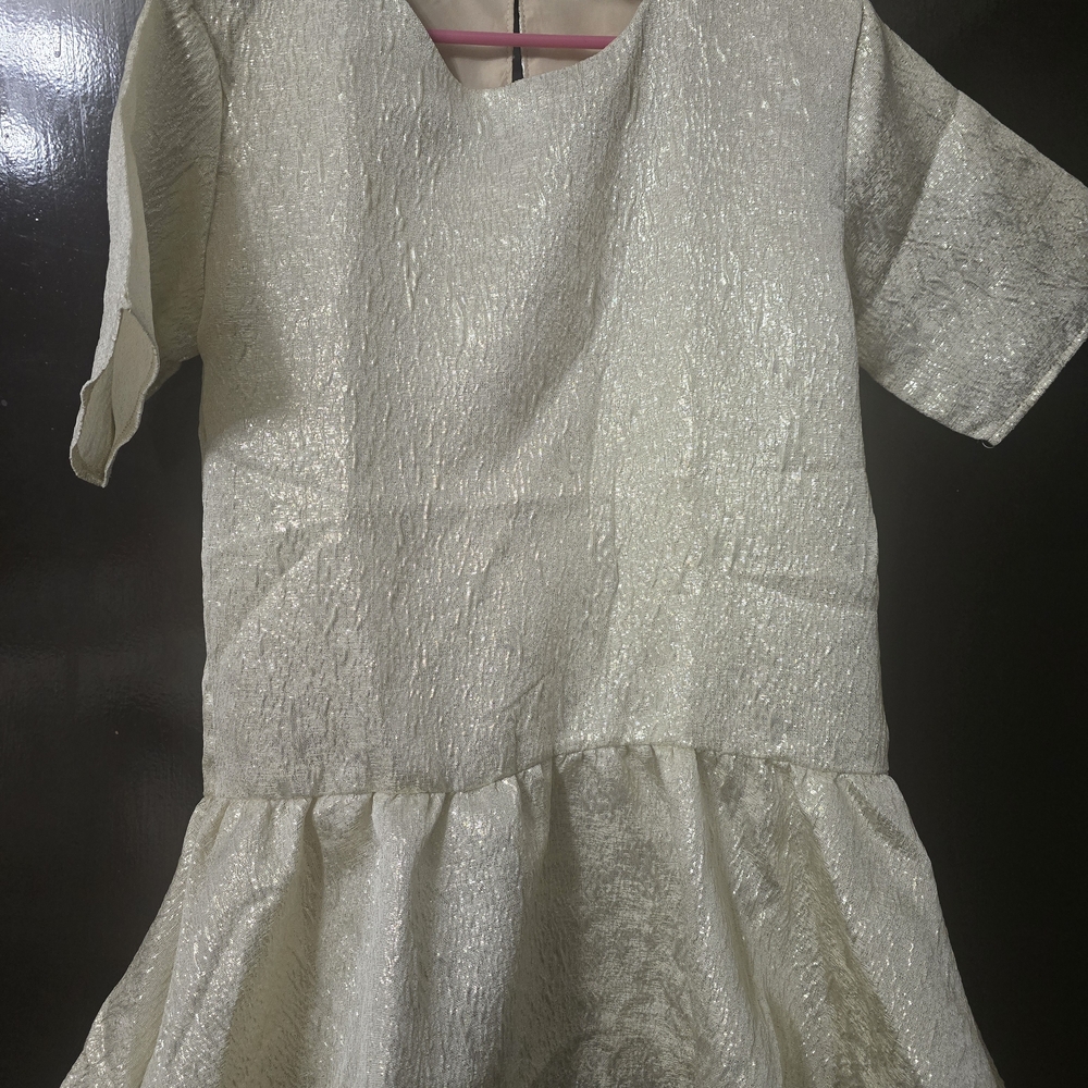 H&M Shimmering Silver Dress